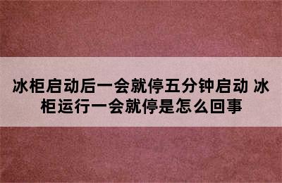 冰柜启动后一会就停五分钟启动 冰柜运行一会就停是怎么回事